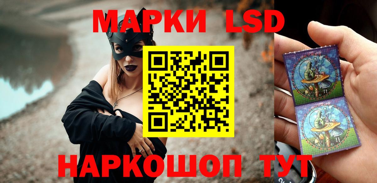 ЛСД экстази ecstasy  Вход с VPN  Каменка  ЛСД экстази ecstasy 