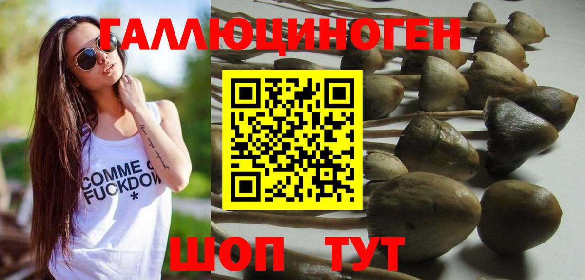 Галлюциногенные грибы мицелий Каменка